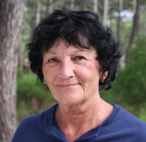 Author avatar